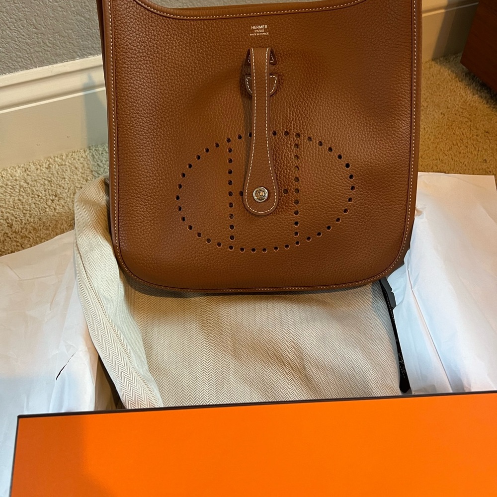 Evelyne III PM Brown Leather Shoulder Bag - Picture 7 of 10